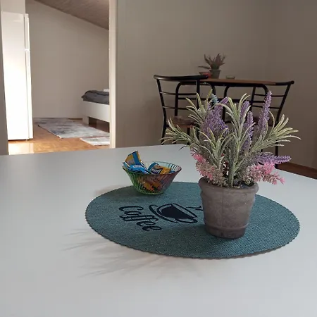 Cosy ヤイツェ